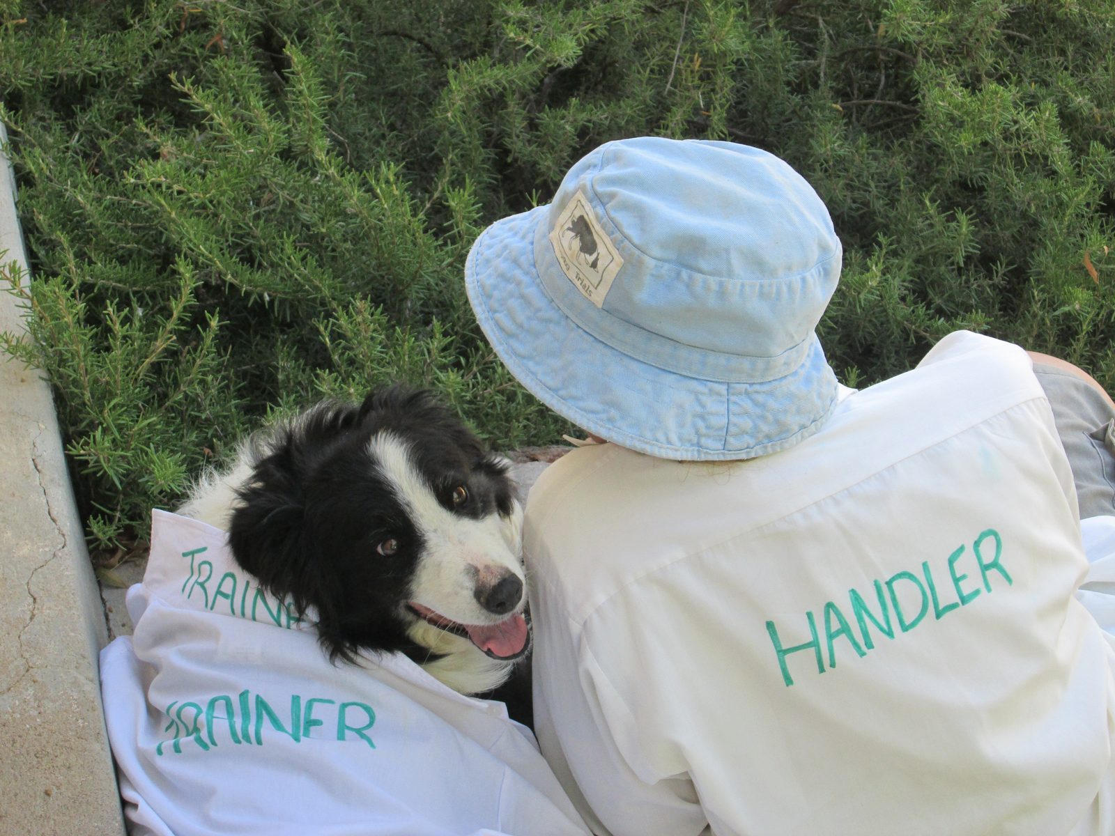 A handler resting cheek-to-cheek with a working border collie in the shade